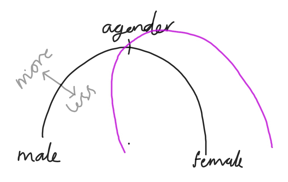 graph: black axis like rainbow, is a semi circle, left labeled Male, right Female, mid point Agender. Radius means feeling from weak inside axis to strong outside. Pink line represents my gender experience: starts slightly into male but very near the 0 feeling point, then spirals out to female with strong feeling.